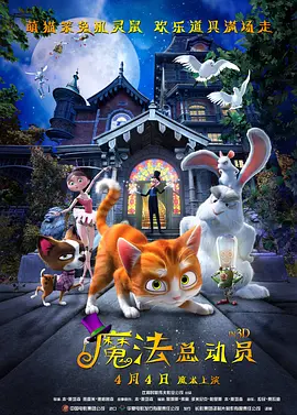 亚洲精品视频www